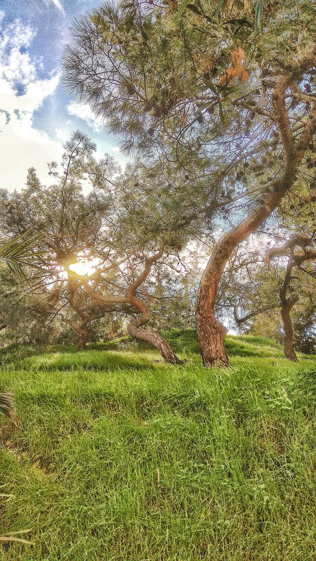 Athens