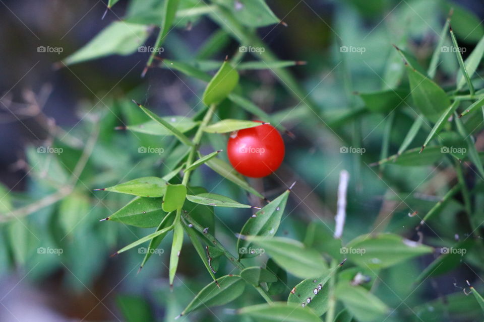 Alone but beautiful .