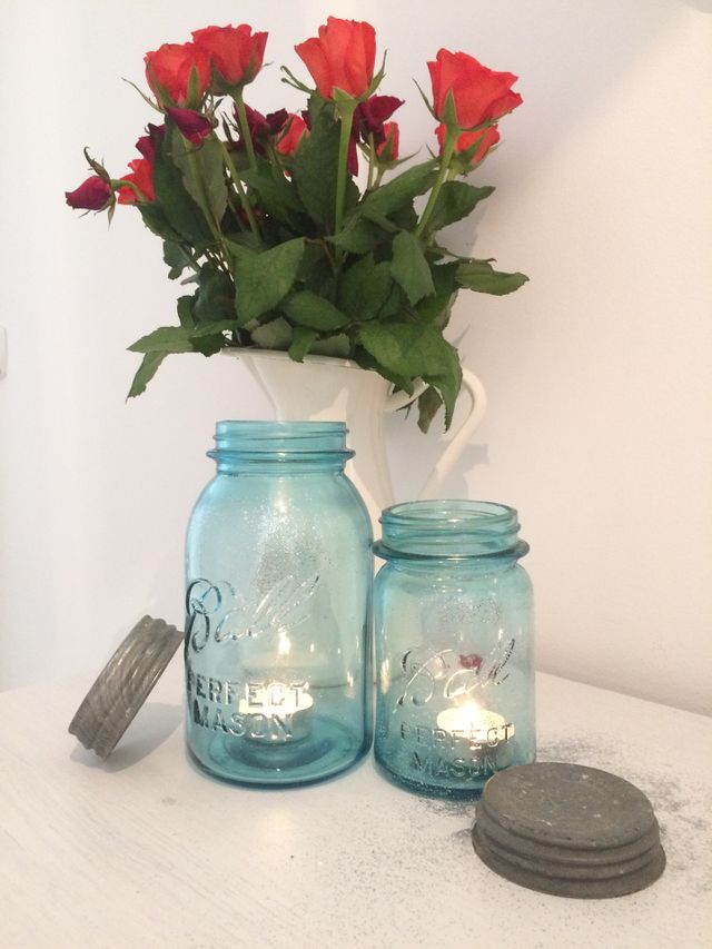 Flower, Vase, No Person, Flora, Pot