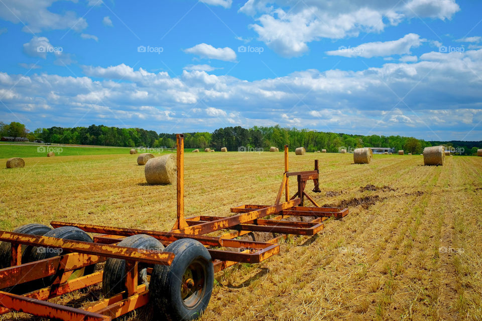 Foap, Cities and Countrysides: A freshly baled field of straw from the winter wheat crop. Raleigh, North Carolina. 