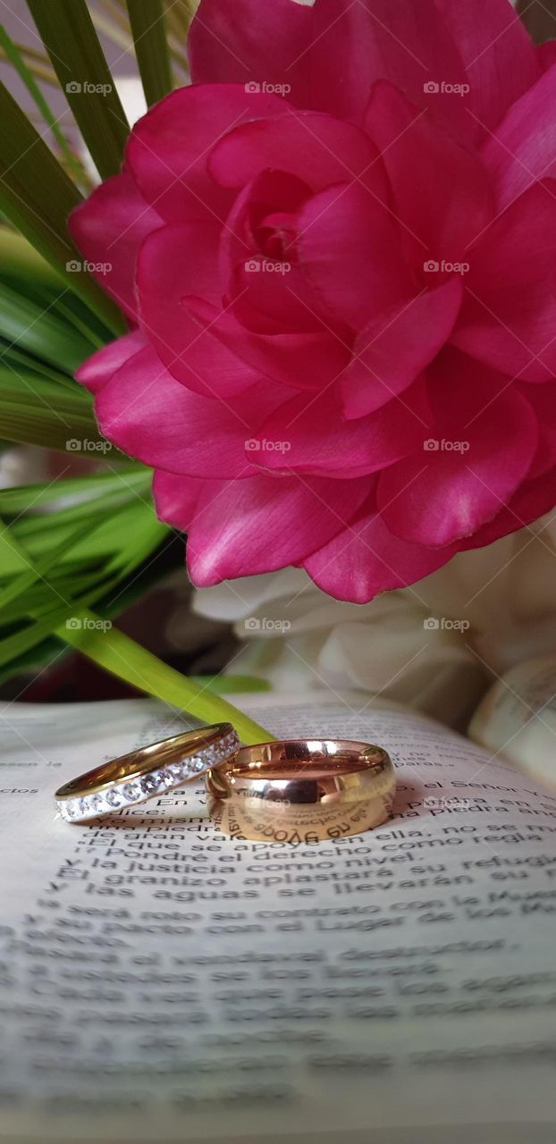 pink flower together a beautiful a beautiful game, design of rings that overflow brightness and luxury