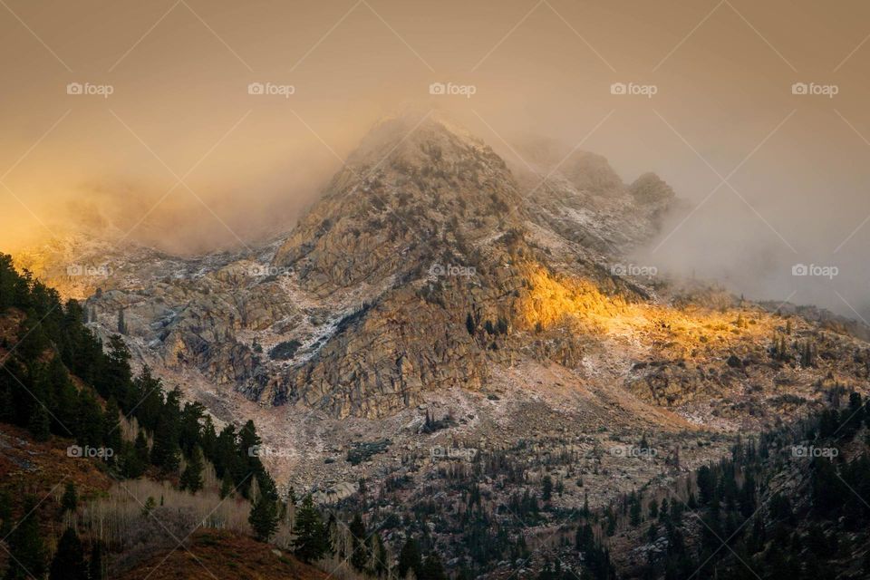 Natural mountains and forests