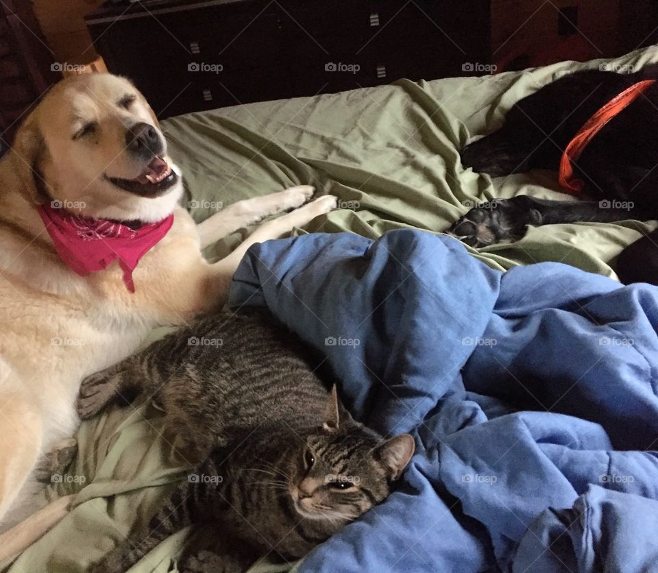 Sadie Harley and Noah sleeping in