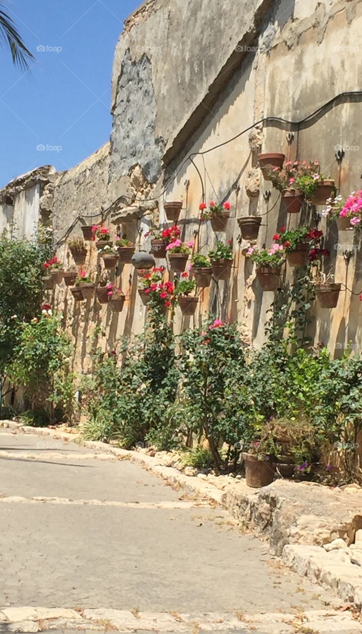 Old wall with planter with flowers