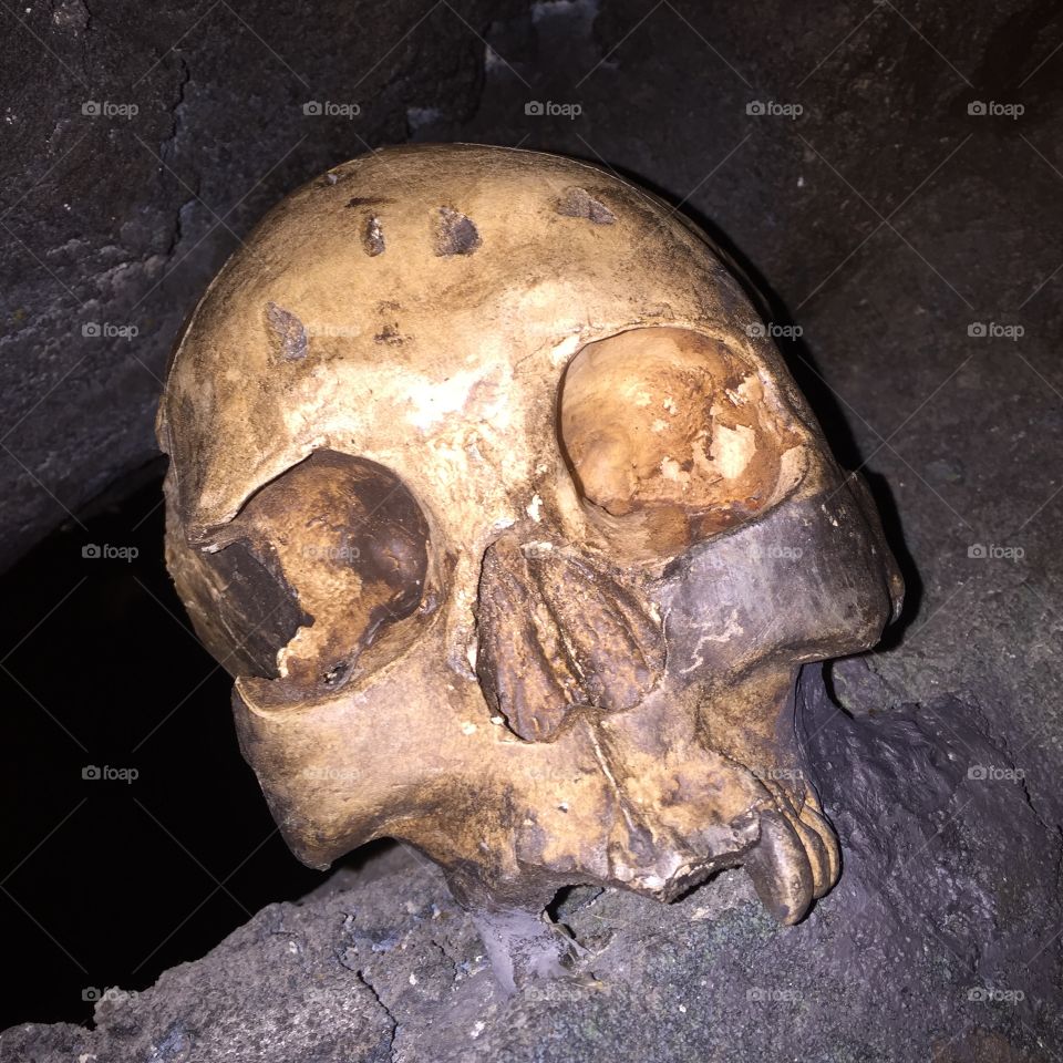 Skull at King Kong Island 