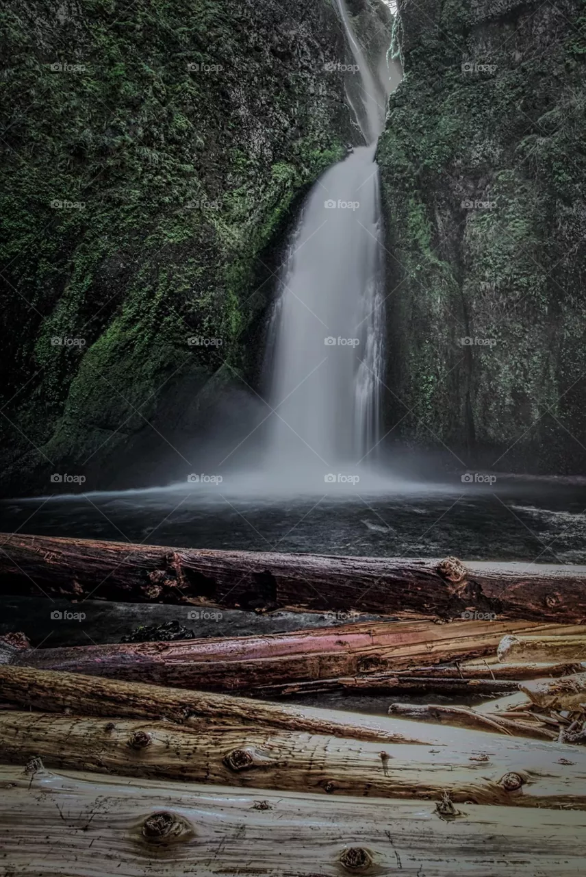 Amazing nature 