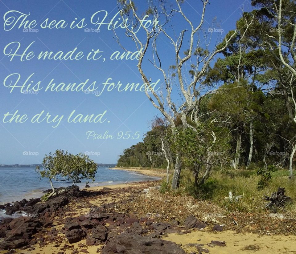 beach scene with sand, rocks, trees and blue sky Bible verse