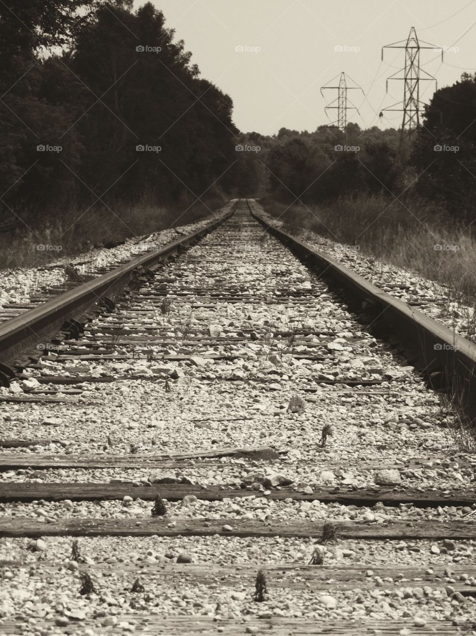 Going The Distance #2