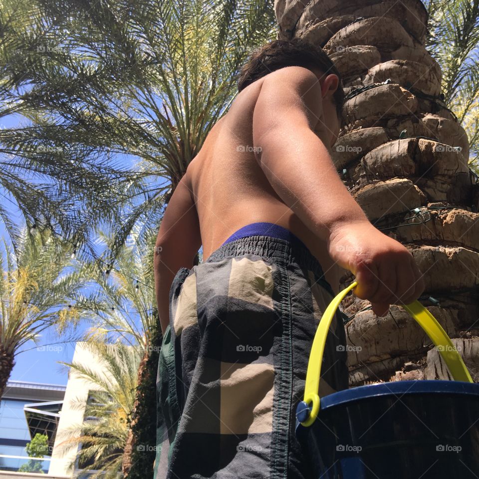 Child playing under palm tree.