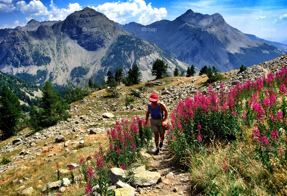 Alps. Footpath French Alps 