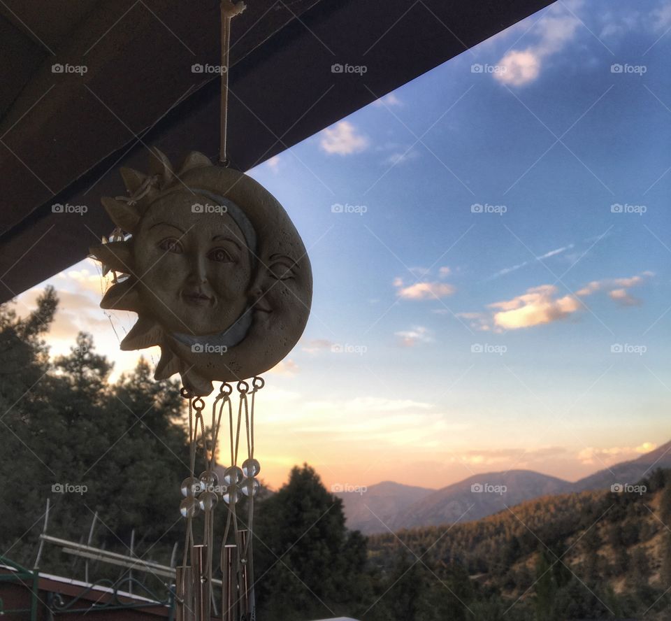 Can you feel the love tonight