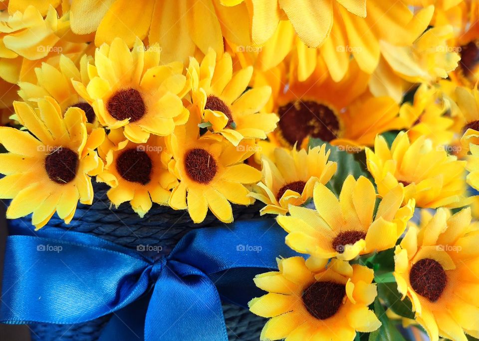 Complementary Colors, Flower Pot