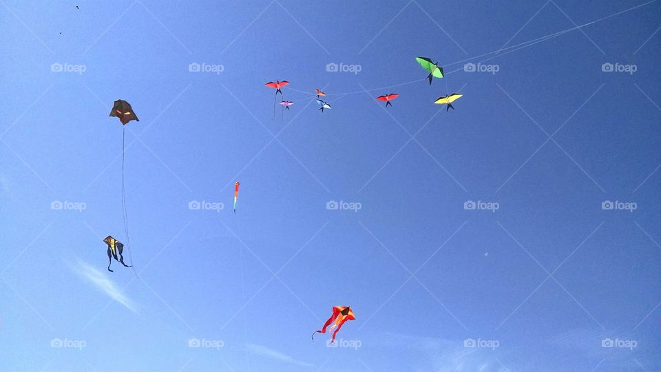 Kites