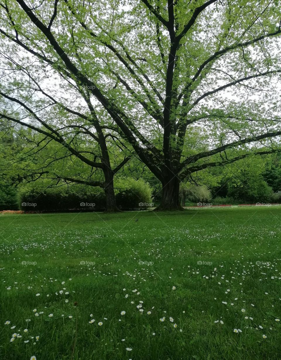 This is what the beginning of spring looks like in Austria