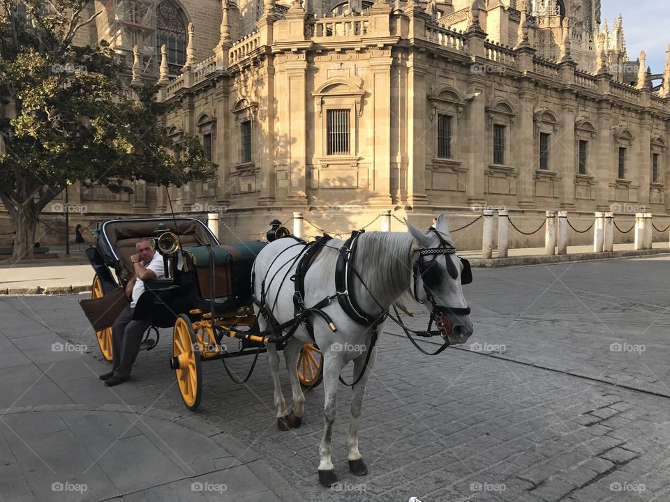 Horse & Carriage Seville 