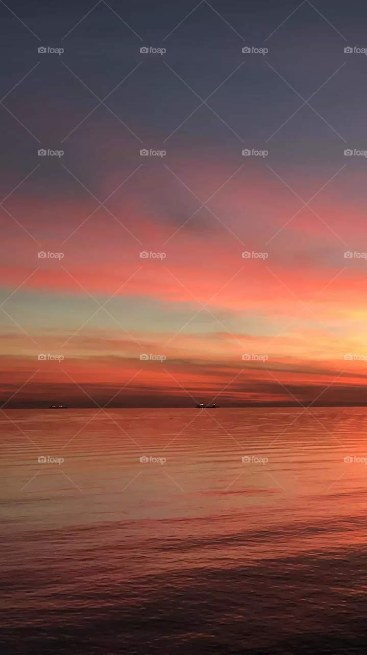 Sun following