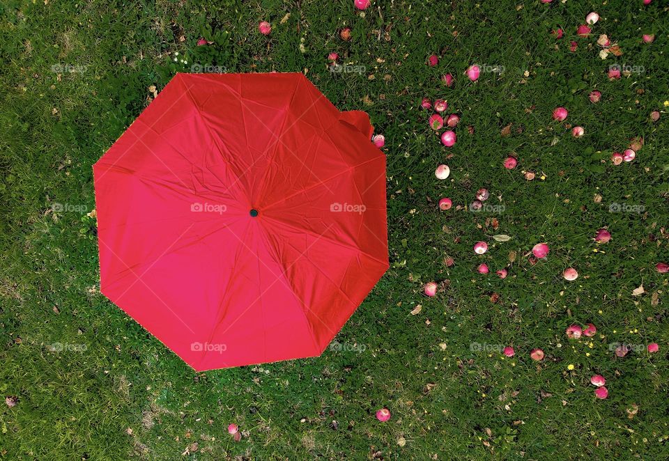Red and Green. Look how the green made this red umbrella pop up! A clash for a reason!
