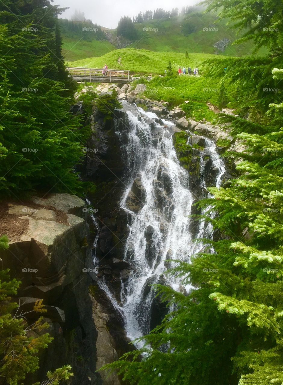 Myrtle falls, Mt Rainier