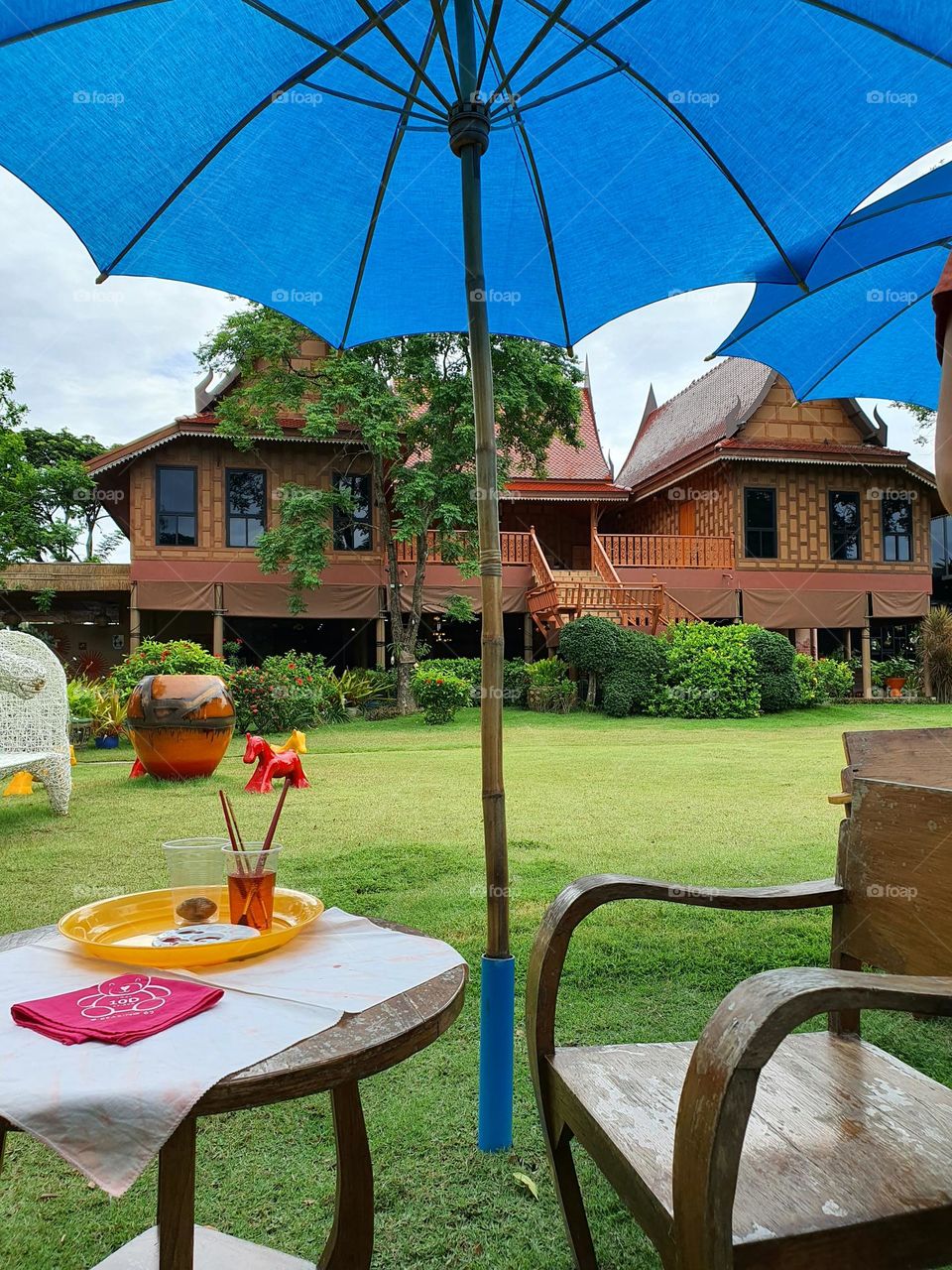 Activity in the garden