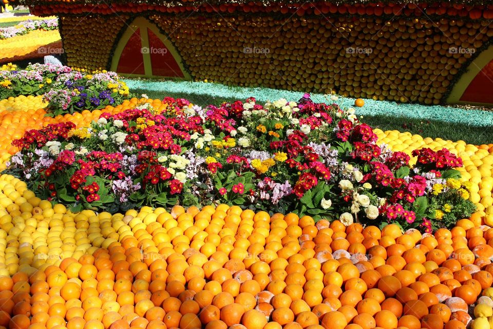 Jardin de naranjas