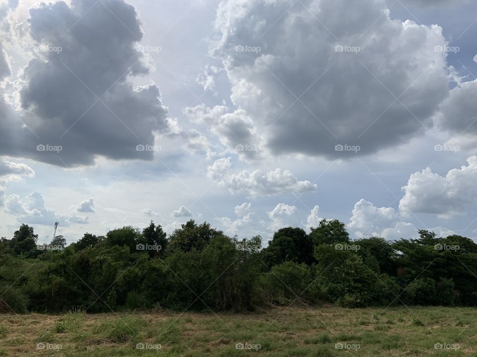 The stories of the nature, countryside (Thailand)