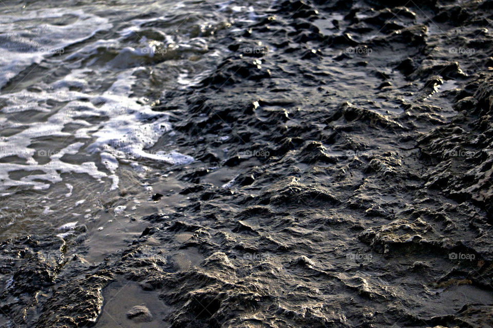 Close-up of wet rock at beach