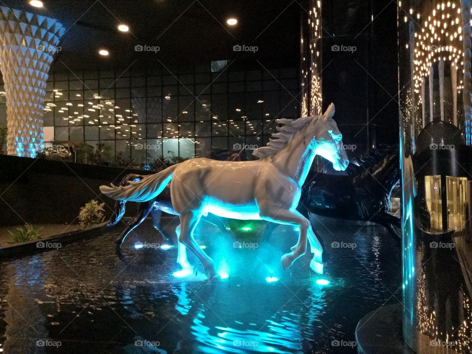 bluelight and white horse near hotel sahara star near domestic airport ville parle east andheri,india ..