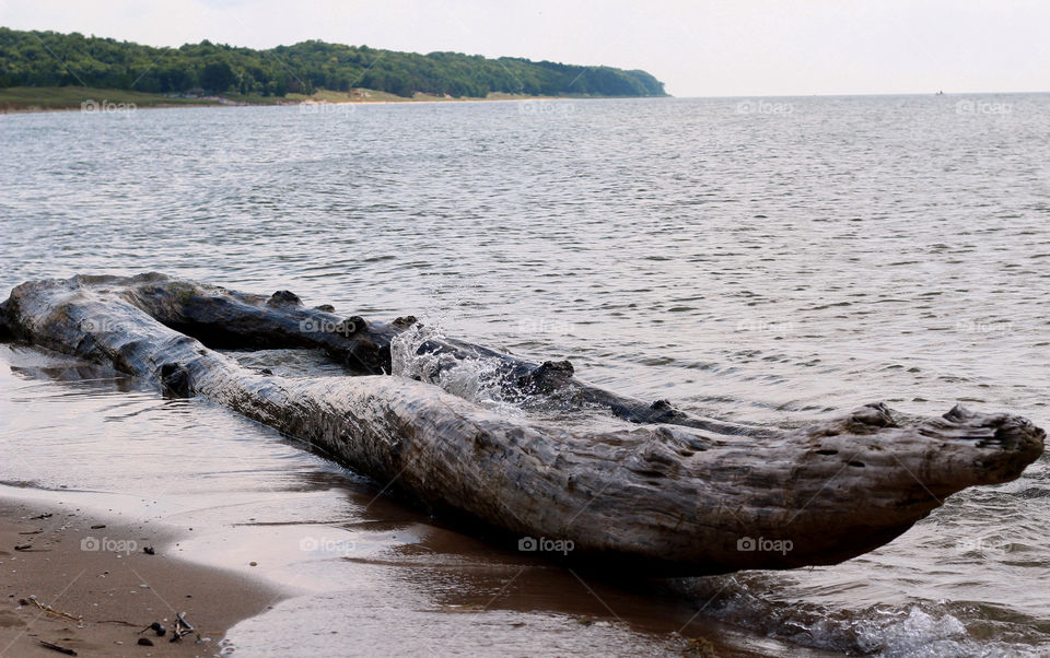 Grey water crashing up against a large piece of driftwood on a sandy beach on a cloudy day 
