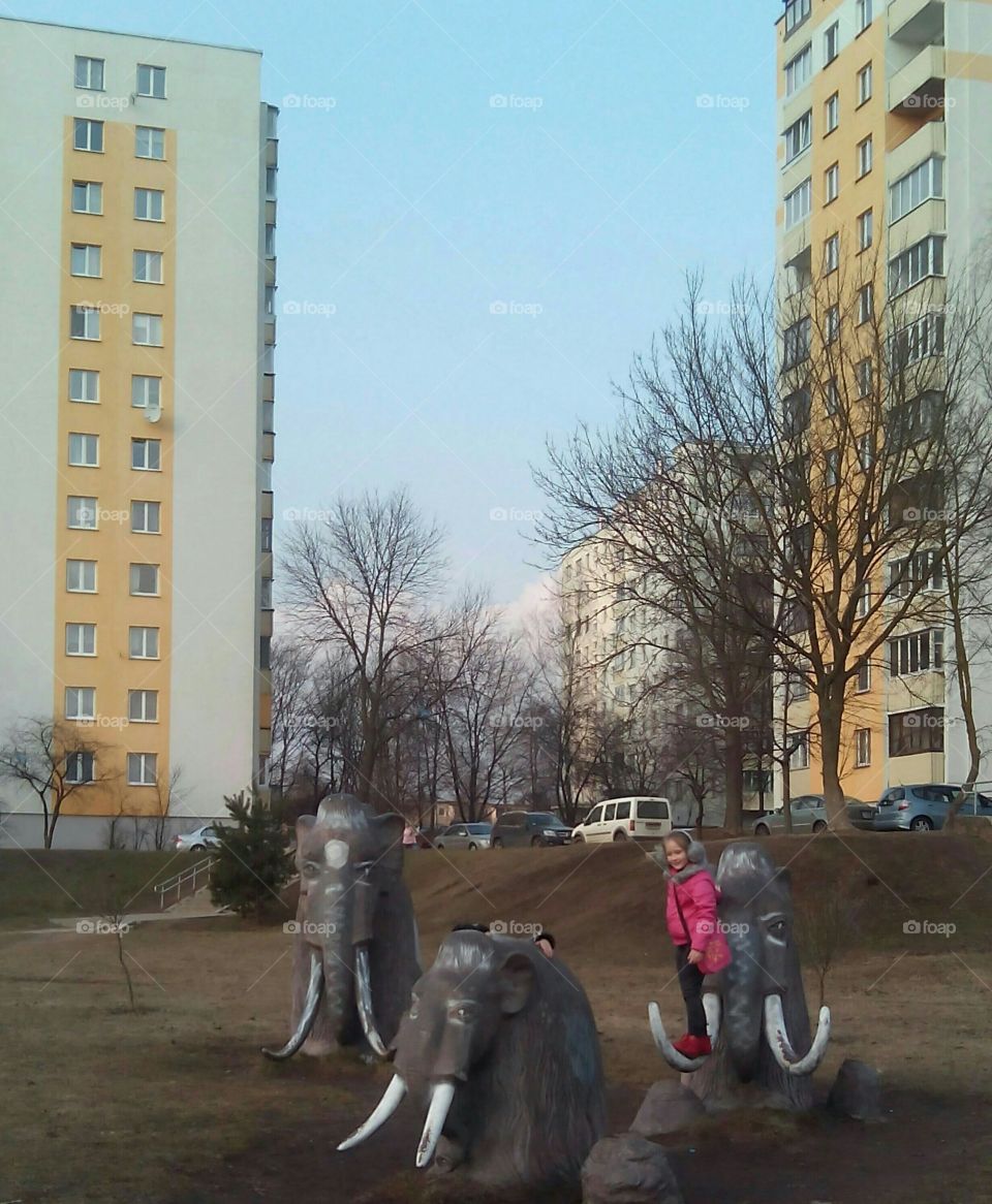 Building, City, Architecture, People, Road