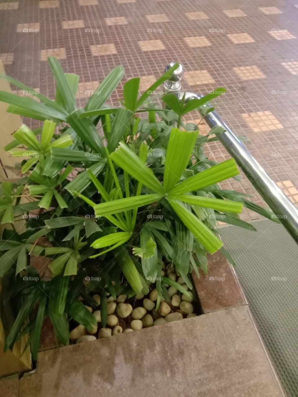 external plantings🌱❤️✨