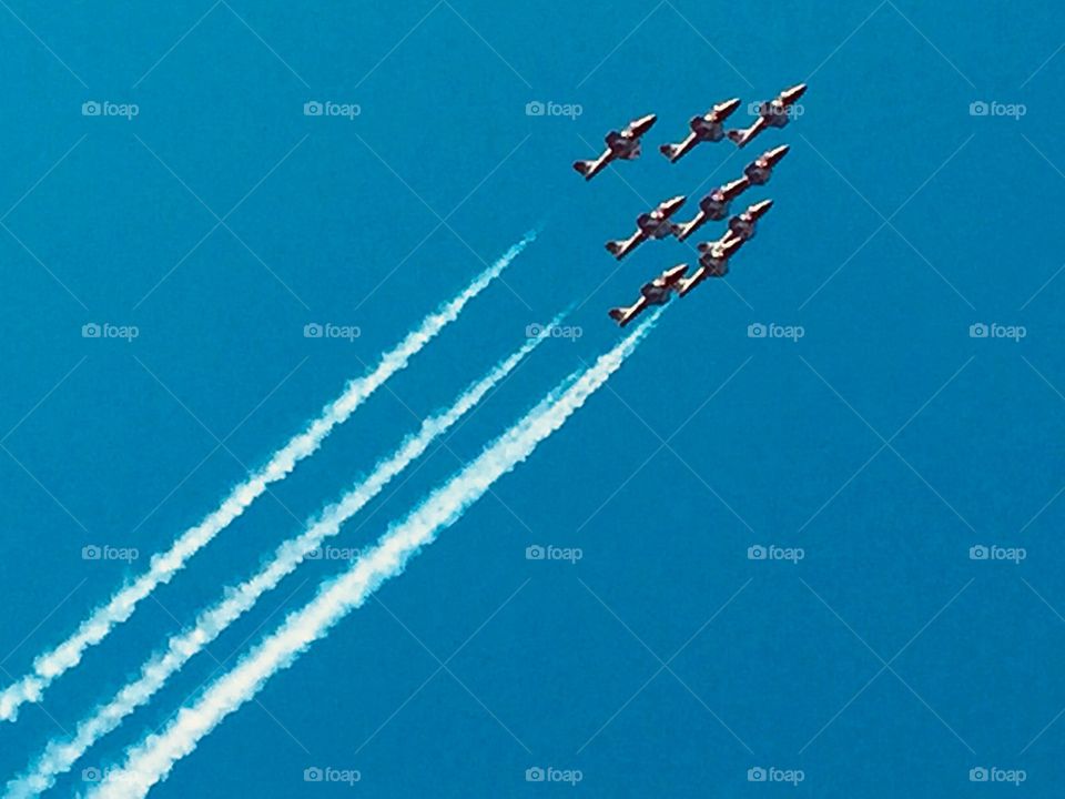 The Snowbirds