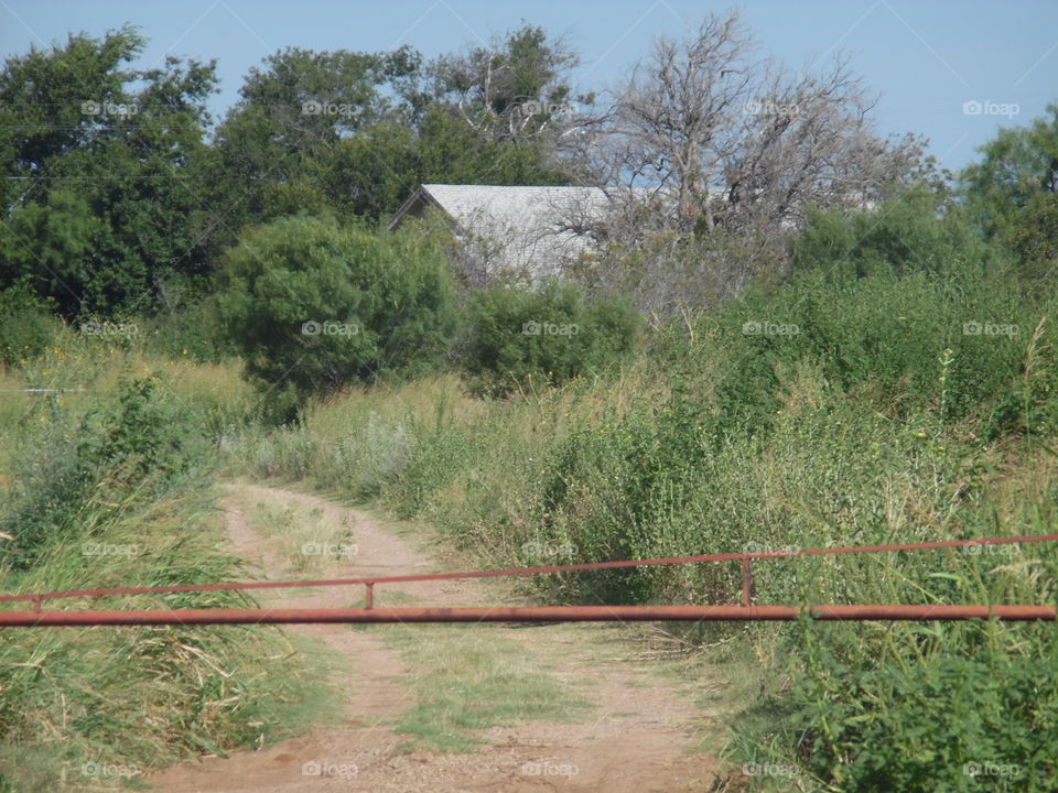 Texas farm land. This is a picture I took of a Texas farm house that I saw while out exploring this morning. 👣 🚶 🏃 🔥 💨