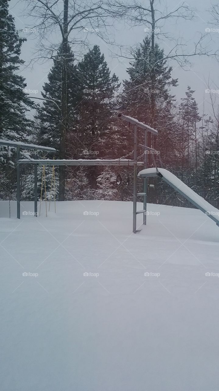 Can you spot the bluejay perched on the top of the swingset?