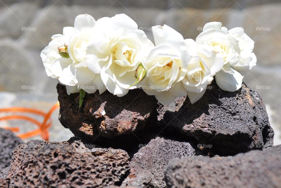 White roses flower crown