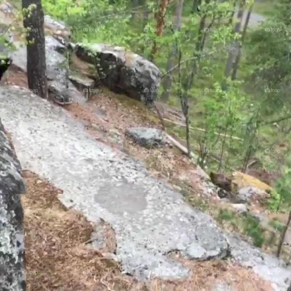 klättra bergsklippor stenblock natur skog