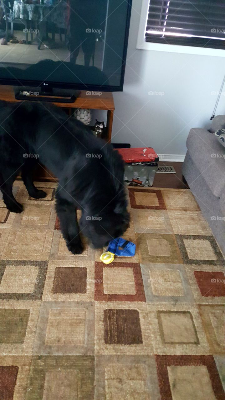 Indoors, No Person, One, People, Room