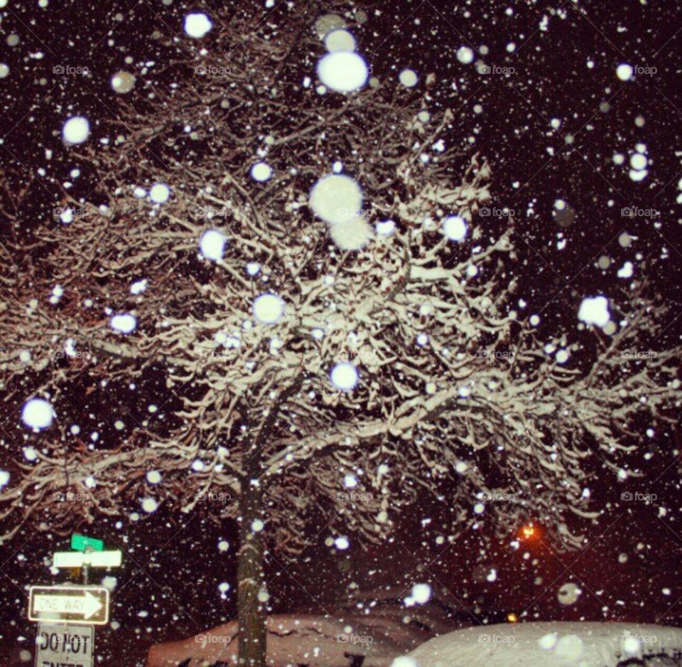 Snowy Night