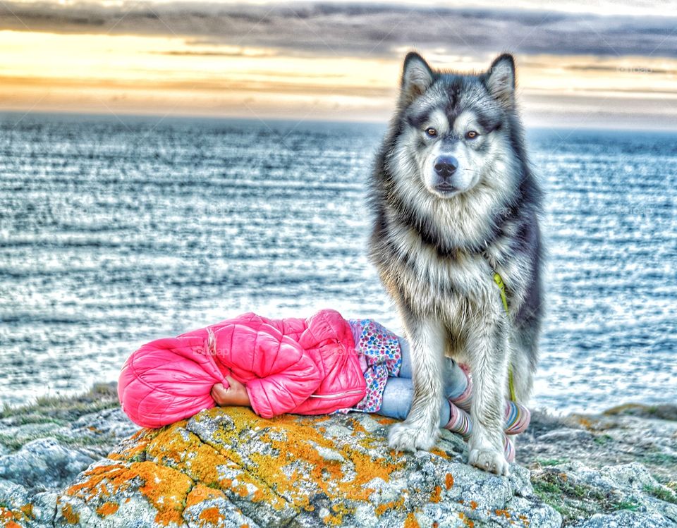 The Wolf and the little pink riding hood