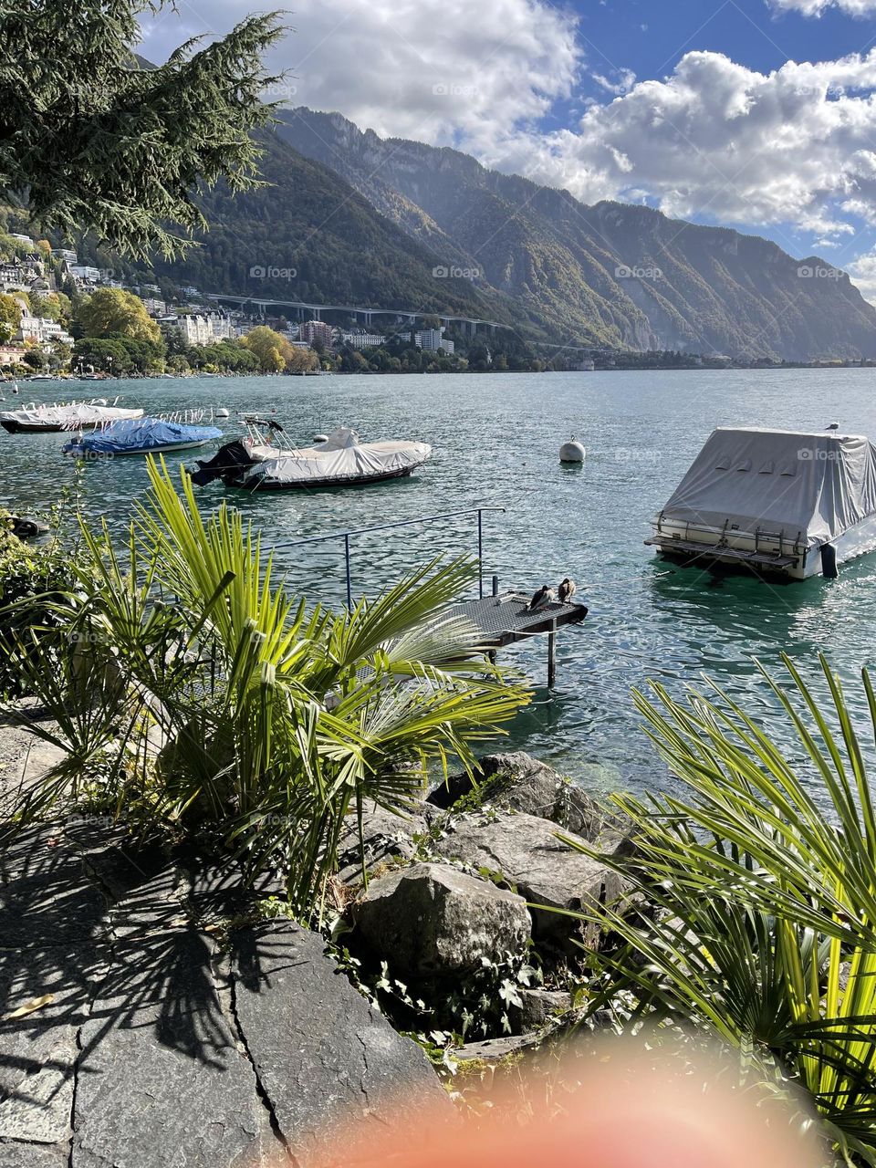 Montreux ville, Switzerland, lake promemade, Mountains landscape 