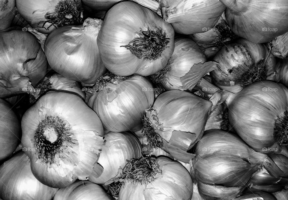 Monochrome Garlic