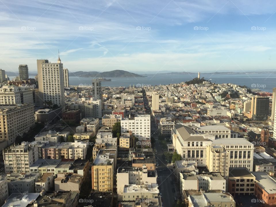 SF view . I was working at a hotel in San fransico and went on the top story and took this really beautiful picture 