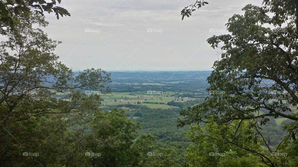 View from House mountain