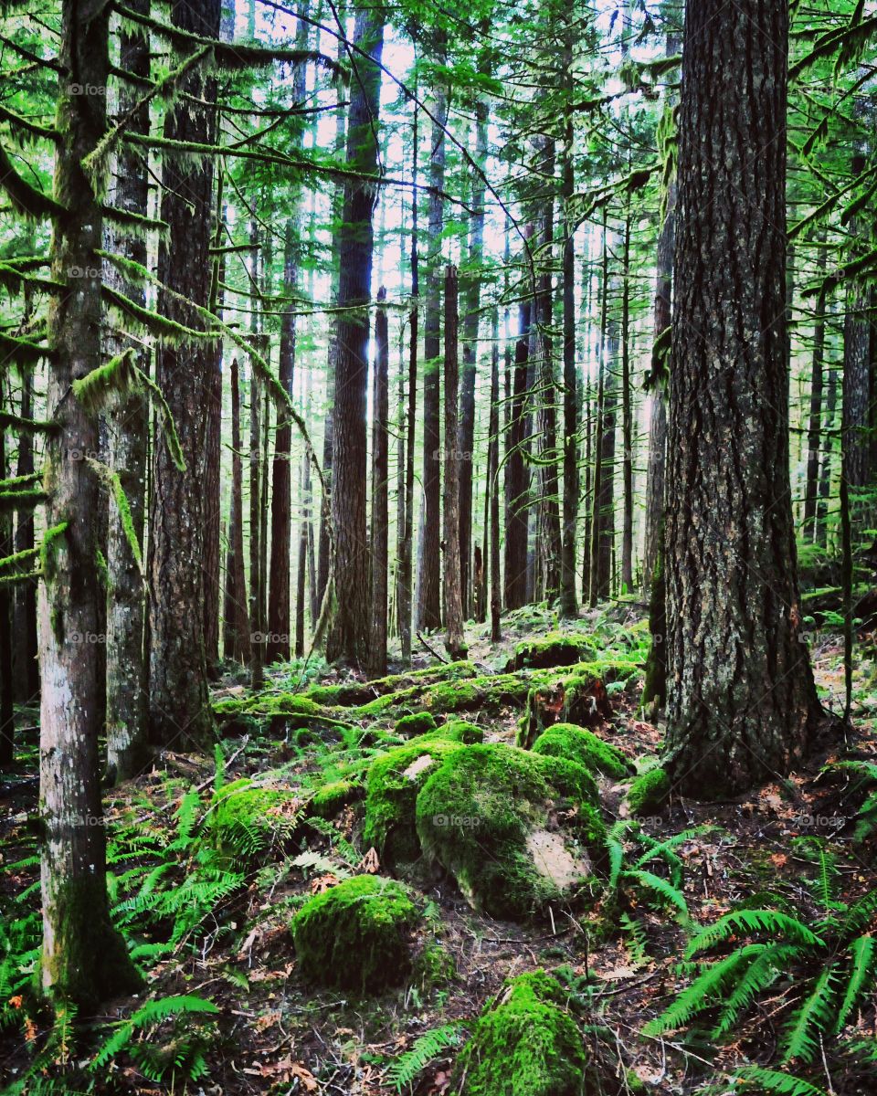 Create your own path...