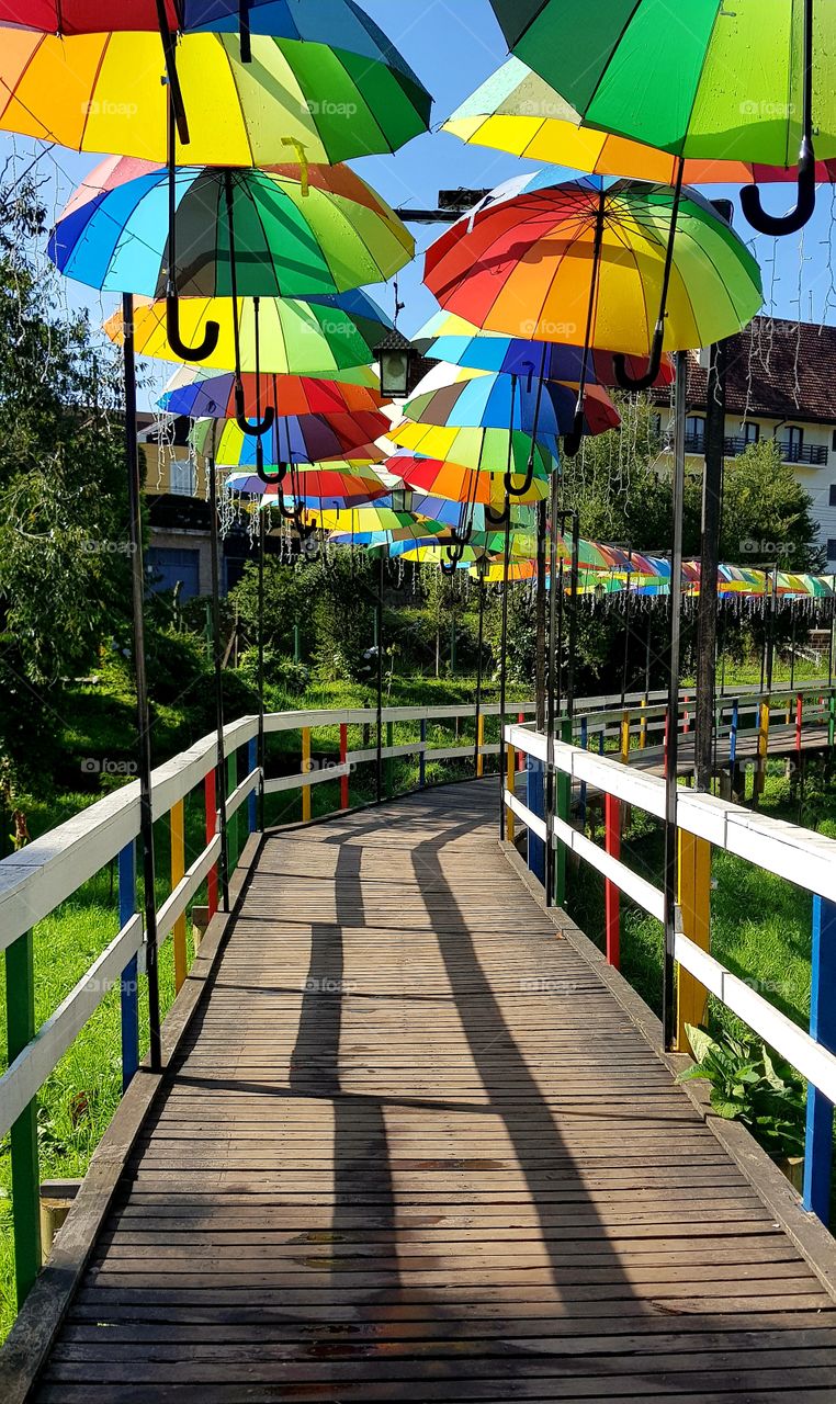 colorful parasol or colorful umbrellas