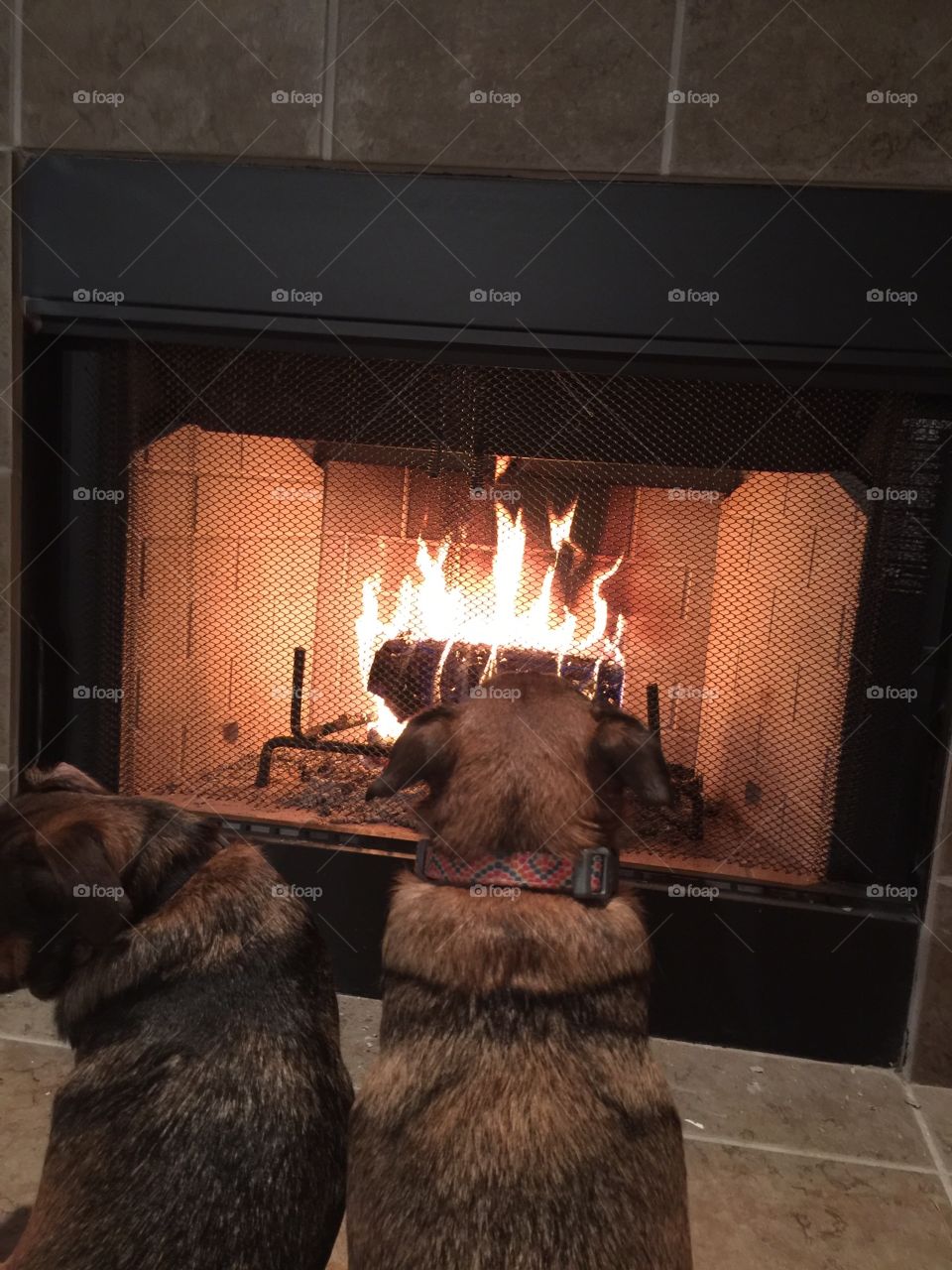 Sharing the fire