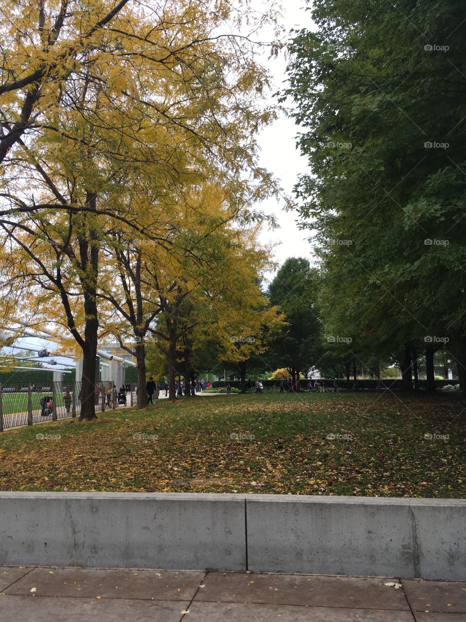 Autumn in the park 