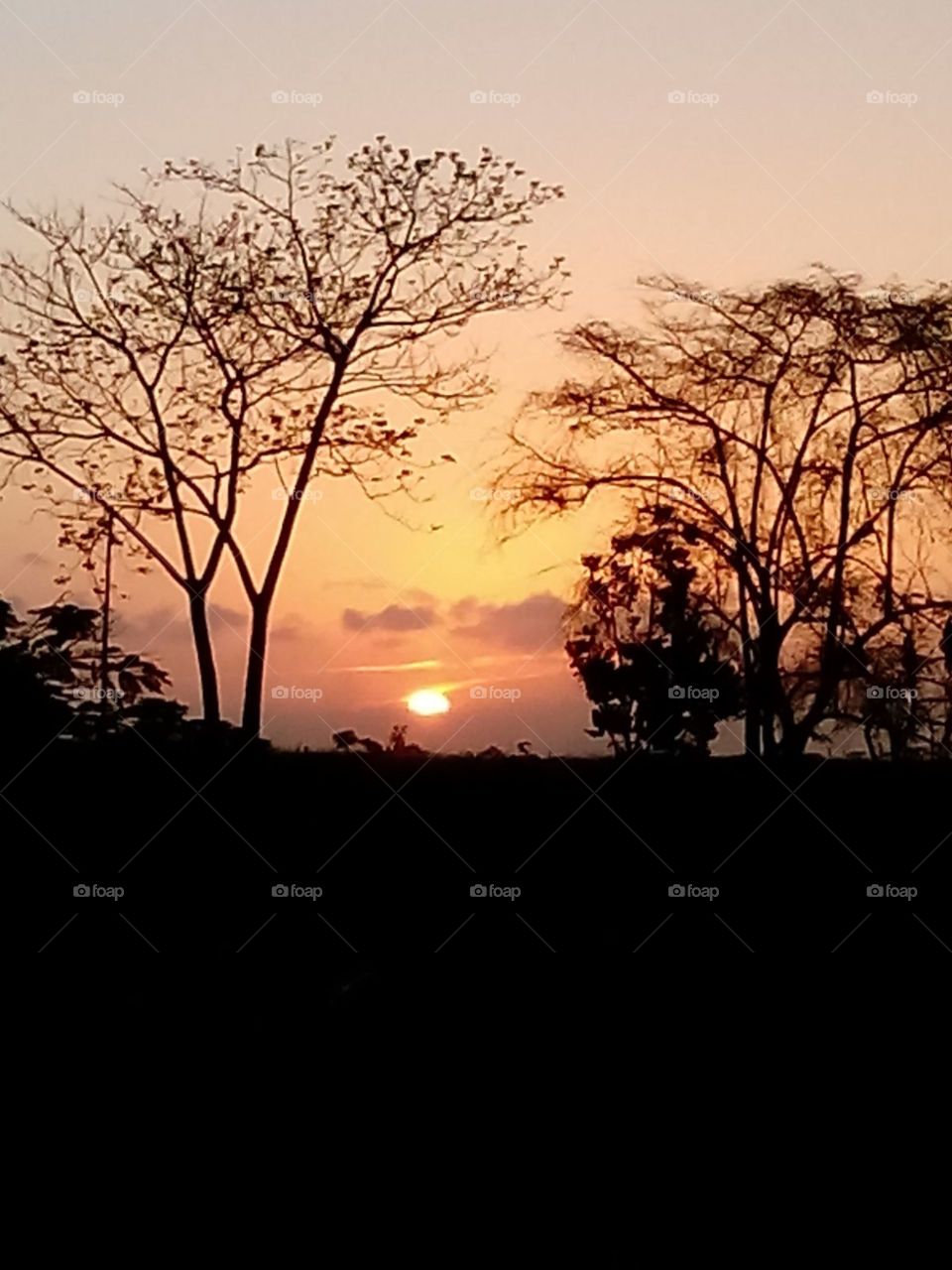 Landscape, Sunset, Tree, Dawn, Sun