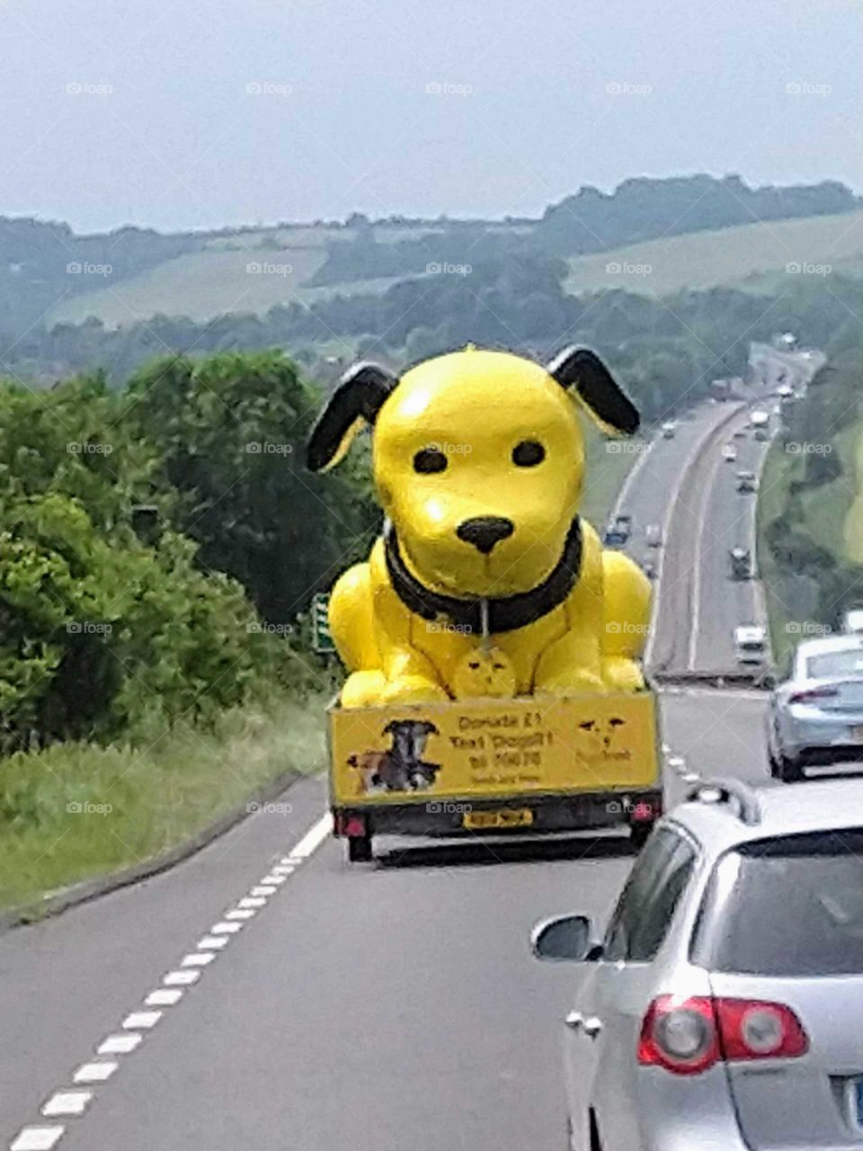 Amazing What Is Seen On The Roads Today!