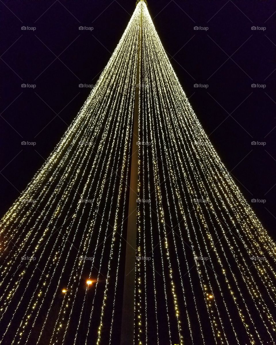 Strings of lights form a Christmas tree