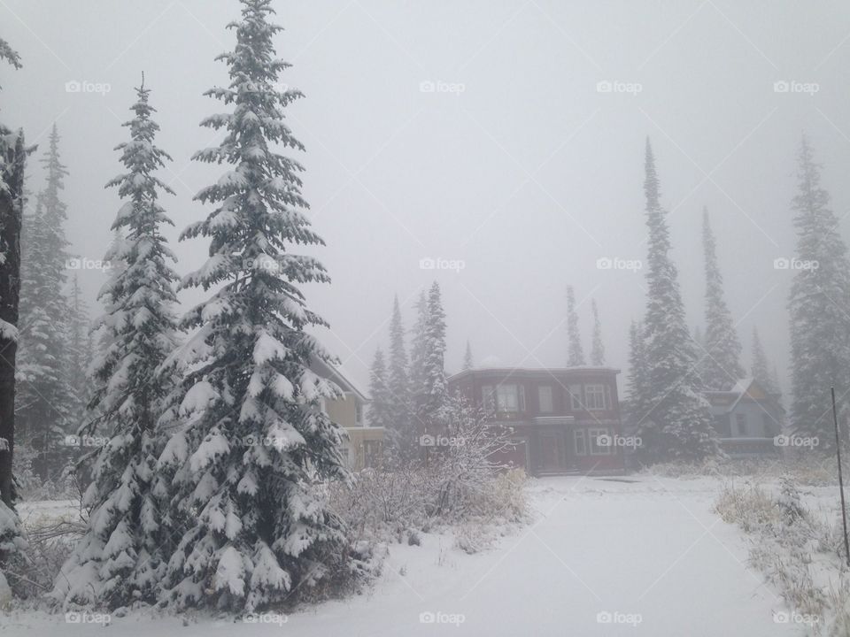 Foggy day in the mountains 